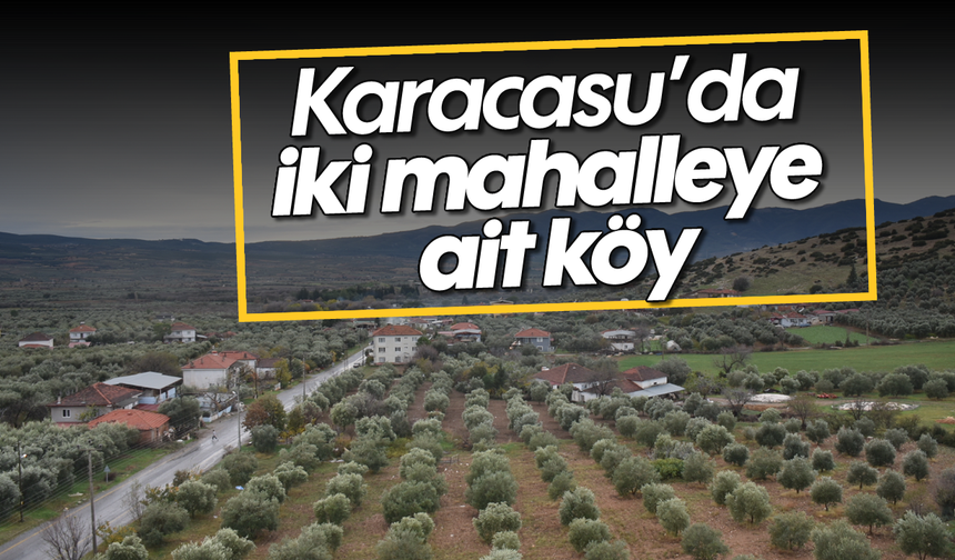 Karacasu'da iki mahalleye ait köy