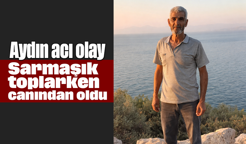 Aydın acı olay: Sarmaşık toplarken canından oldu