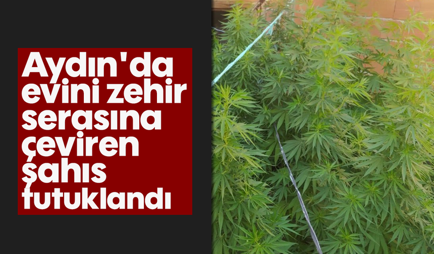 Aydın'da evini zehir serasına çeviren şahıs tutuklandı