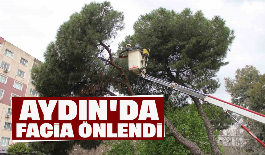Aydın'da facia önlendi