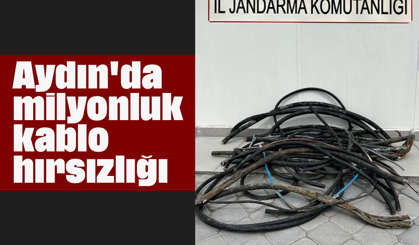 Aydın'da milyonluk kablo hırsızlığı