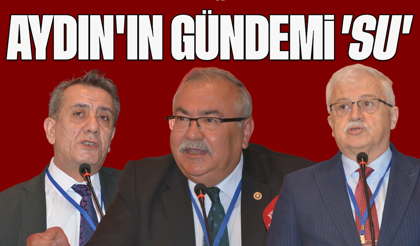 Aydın'ın gündemi 'su'