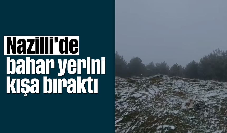 Nazilli’de bahar yerini kışa bıraktı