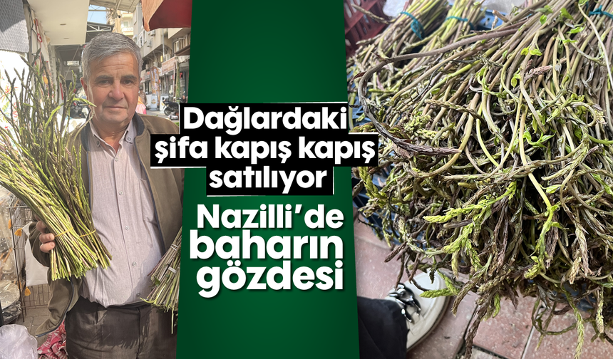 Dağlardaki şifa kapış kapış satılıyor: Nazilli’de baharın gözdesi