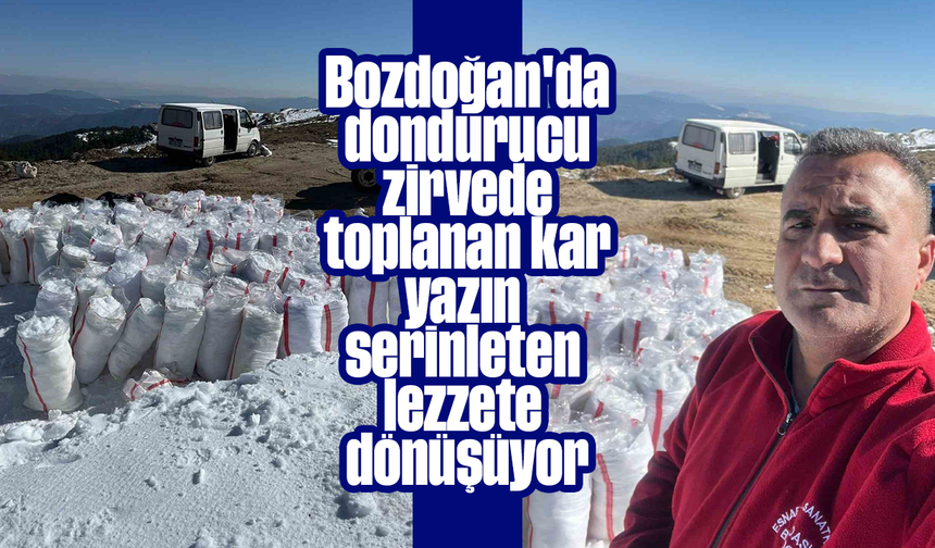 Bozdoğan'da dondurucu zirvede toplanan kar, yazın serinleten lezzete dönüşüyor