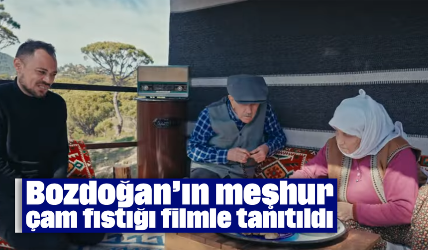 Bozdoğan’ın meşhur çam fıstığı filmle tanıtıldı