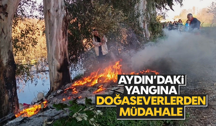 Aydın'daki yangına doğaseverlerden müdahale