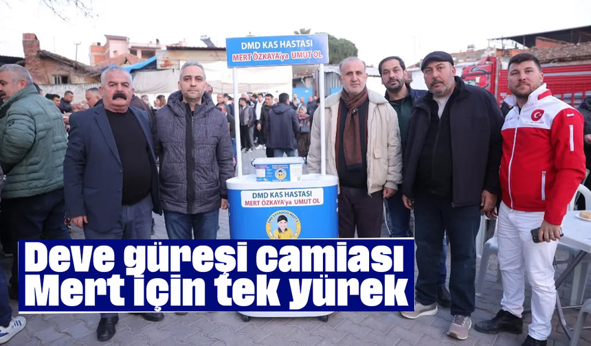 Deve güreşi camiası Mert için tek yürek