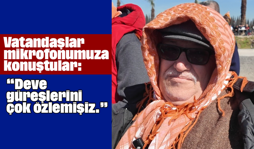 Vatandaşlar mikrofonumuza konuştular: “Deve güreşlerini çok özlemişiz.”