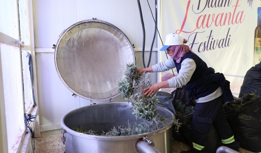 Didim Belediyesinden üretken belediyecilik uygulaması