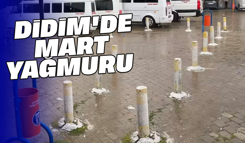 Didim'de Mart yağmuru