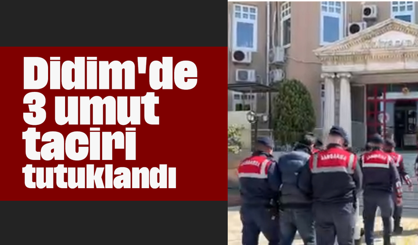 Didim'de 3 umut taciri tutuklandı