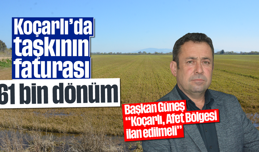 Koçarlı’da taşkının faturası: 61 bin dönüm