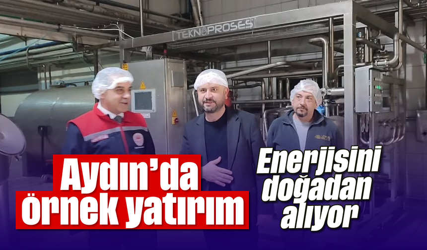 Aydın’da örnek yatırım: Enerjisini doğadan alıyor