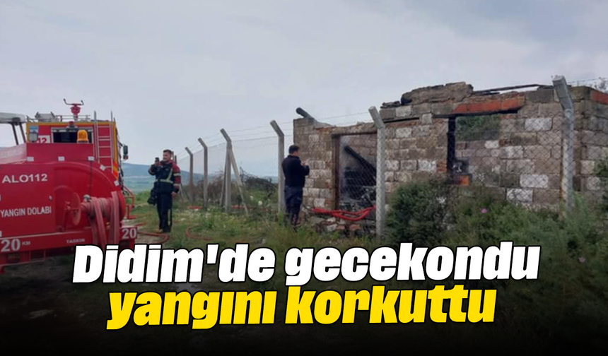 Didim'de gecekondu yangını korkuttu