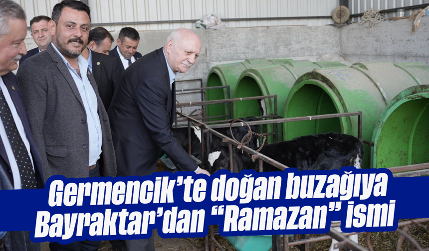 Germencik’te doğan buzağıya Bayraktar’dan “Ramazan” ismi