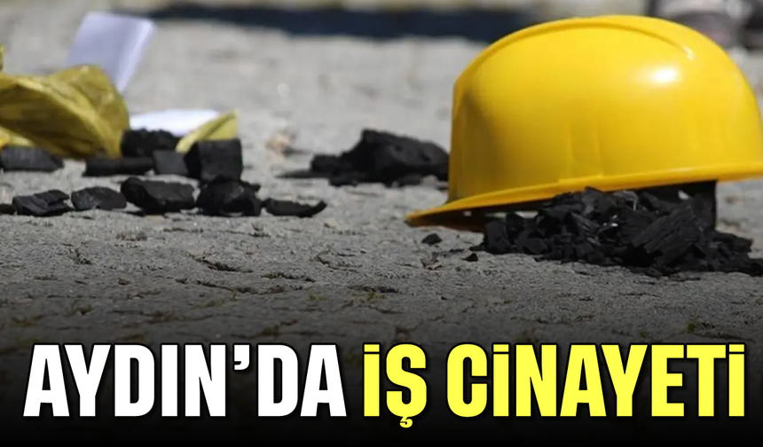Aydın'da iş cinayeti: Şubat ayı açıklandı