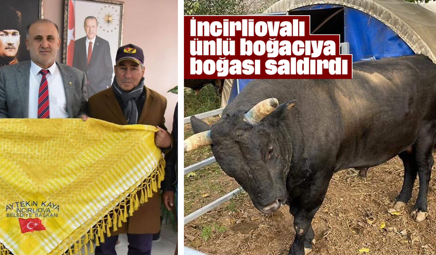 İncirliovalı ünlü boğacıya, boğası saldırdı