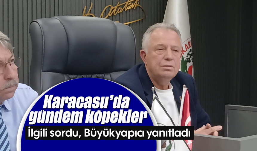 Karacasu'da gündem köpekler: İlgili sordu, Büyükyapıcı yanıtladı