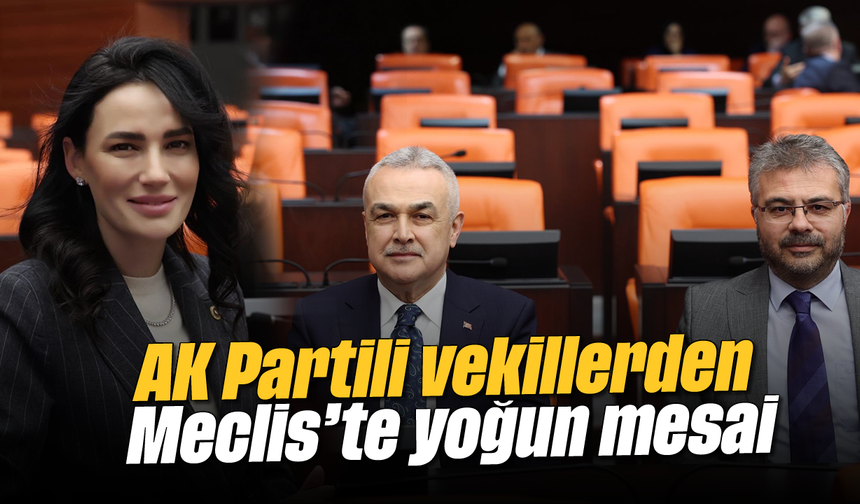 AK Partili vekillerden Meclis’te yoğun mesai