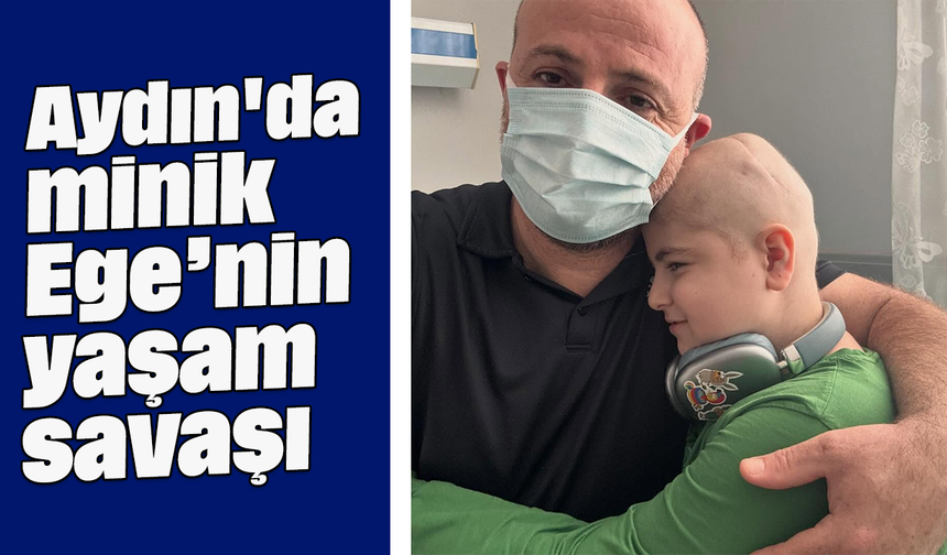 Aydın'da minik Ege’nin yaşam savaşı