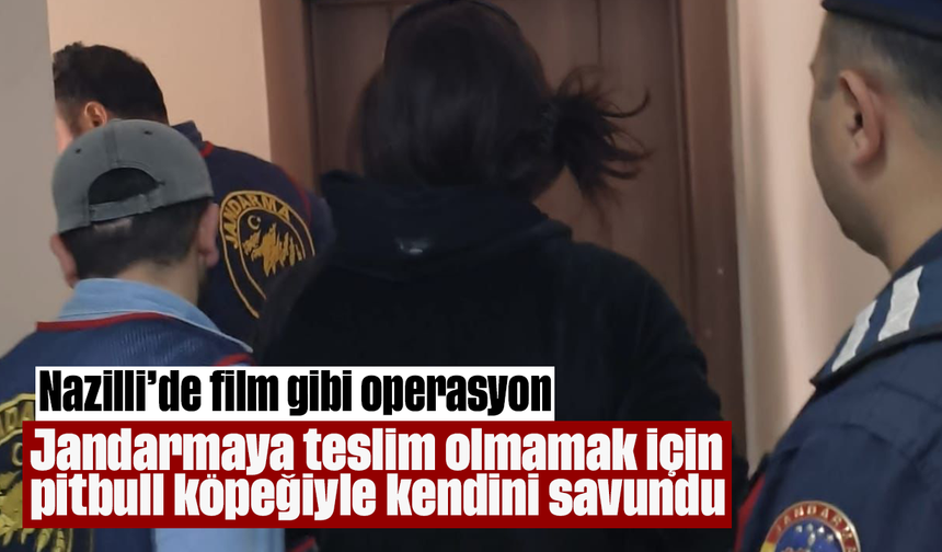 Nazilli’de film gibi operasyon: Jandarmaya teslim olmamak için pitbull köpeğiyle kendini savundu