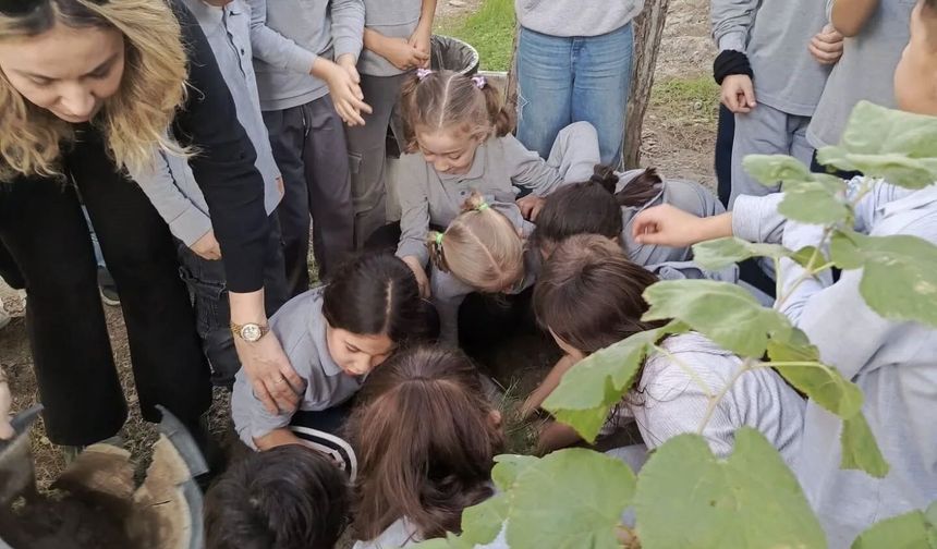 Söke’de Orman Haftası’nda fidanlar gelecek için toprakla buluştu