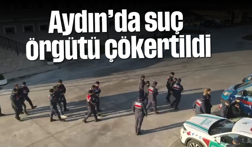 Aydın’da suç örgütü çökertildi