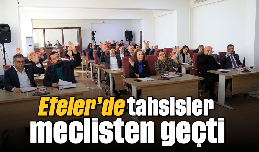 Efeler’de tahsisler meclisten geçti