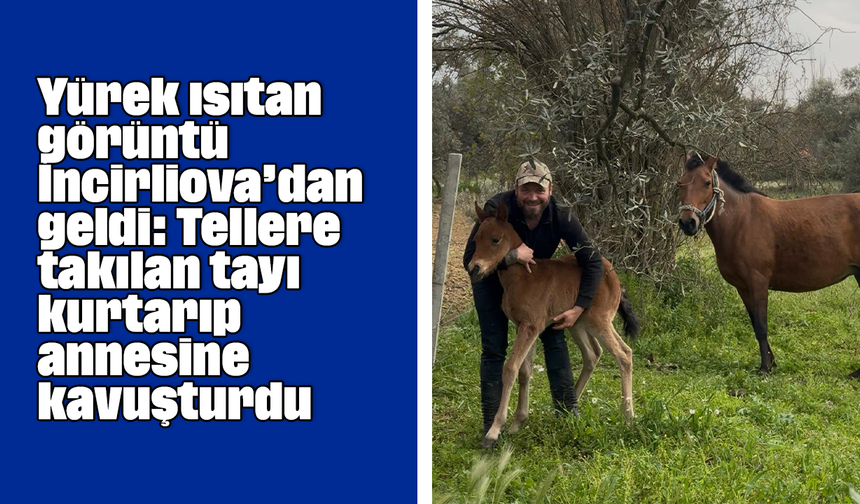 Yürek ısıtan görüntü İncirliova’dan geldi: Tellere takılan tayı kurtarıp, annesine kavuşturdu