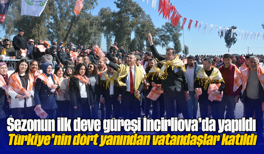 Sezonun ilk deve güreşi, İncirliova’da yapıldı: Türkiye’nin dört yanından vatandaşlar katıldı