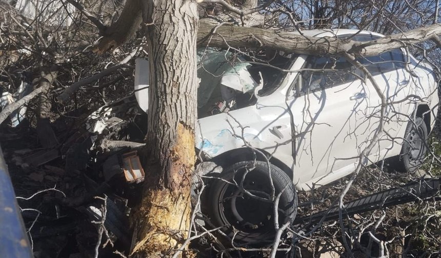 Bozdoğan’da feci kaza: 2 kişi öldü 1 kişi ağır yaralandı