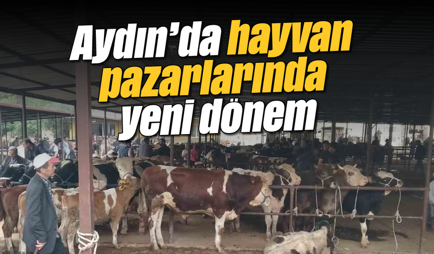 Aydın’da hayvan pazarlarında yeni dönem
