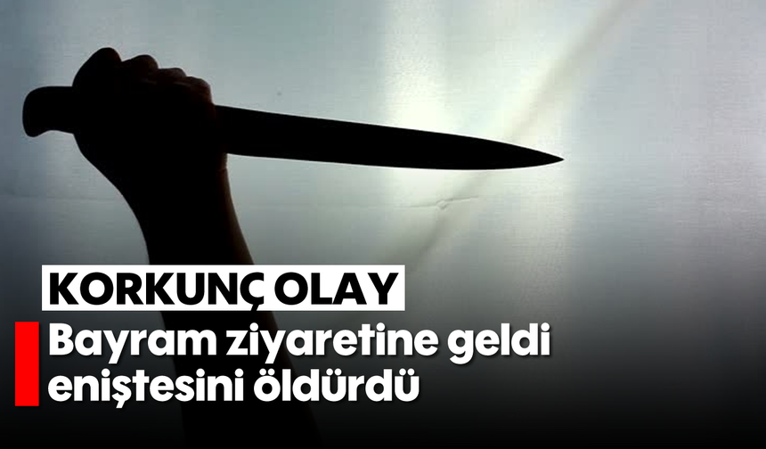 Korkunç olay: Bayram ziyaretine geldi, eniştesini öldürdü
