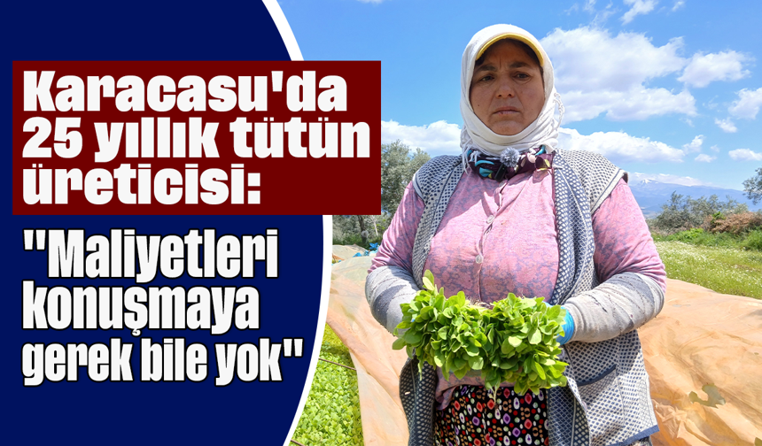 Karacasu'da 25 yıllık tütün üreticisi: "Maliyetleri konuşmaya gerek bile yok"