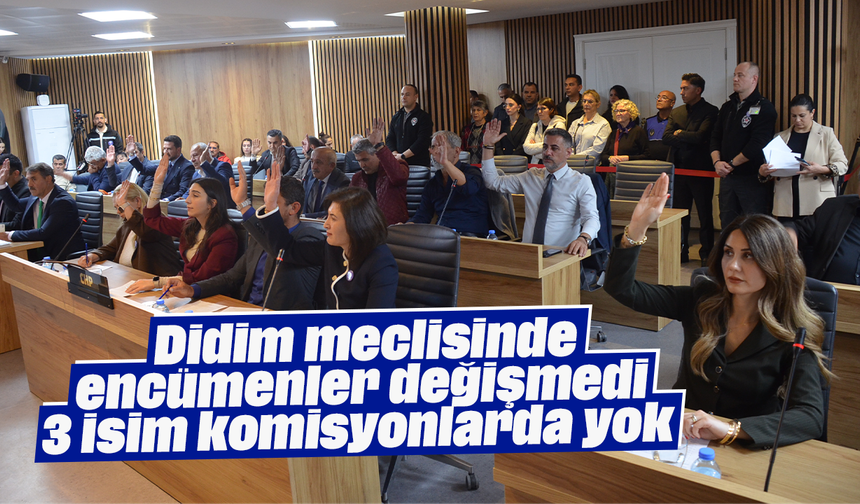 Didim meclisinde encümenler değişmedi; 3 isim komisyonlarda yok