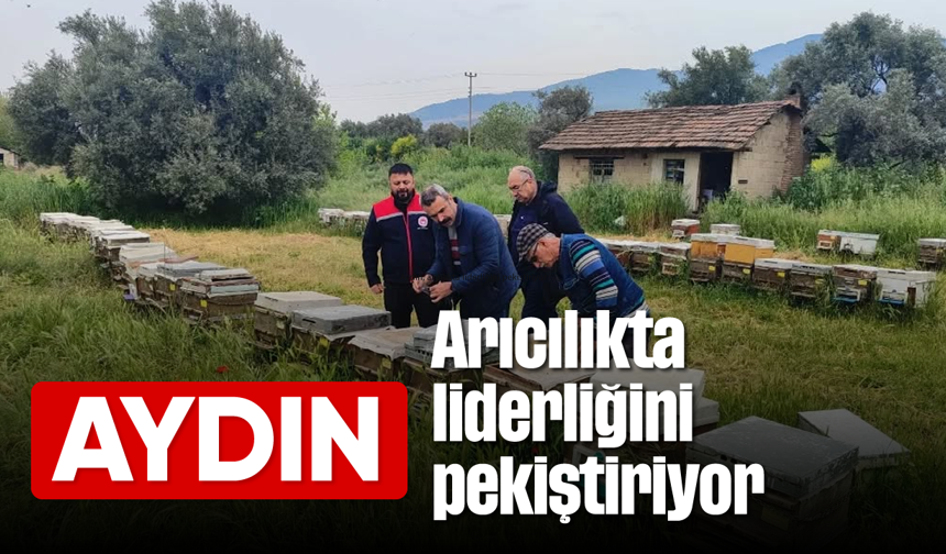 Aydın, arıcılıkta liderliğini pekiştiriyor