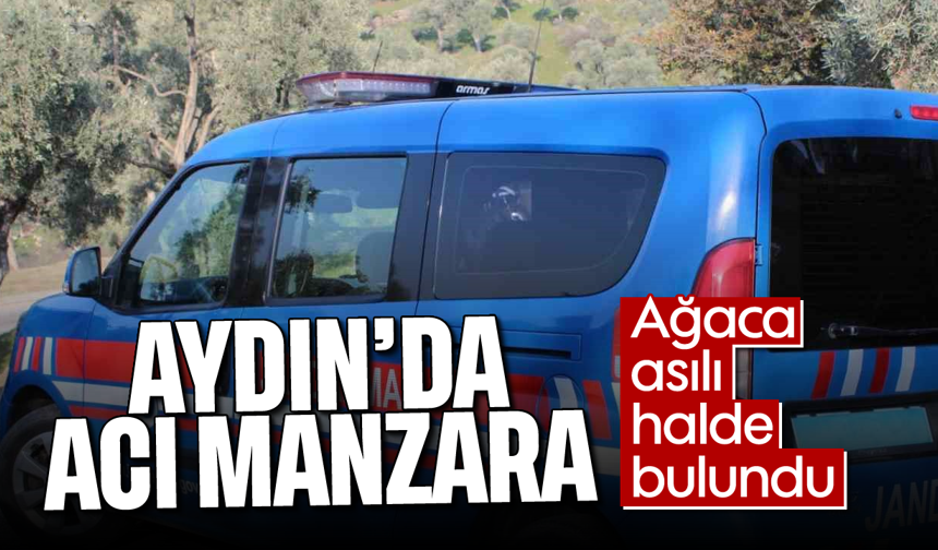 Aydın'da acı manzara: Ağaca asılı halde bulundu