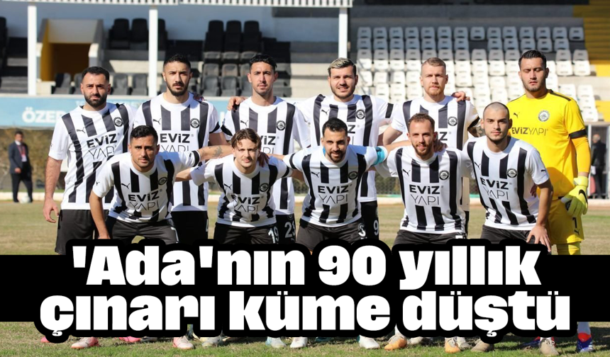 'Ada'nın 90 yıllık çınarı küme düştü