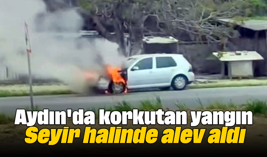 Aydın'da korkutan yangın: Seyir halinde alev aldı