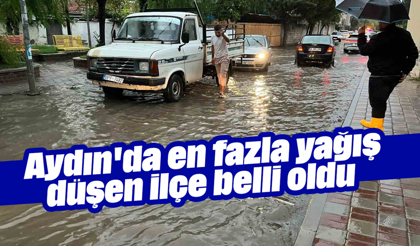 Aydın'da en fazla yağış düşen ilçe belli oldu