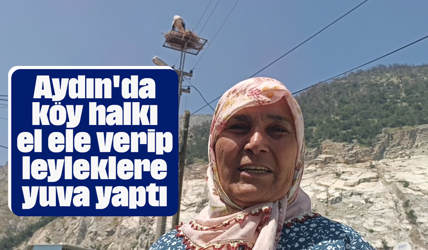 Aydın'da köy halkı el ele verip leyleklere yuva yaptı