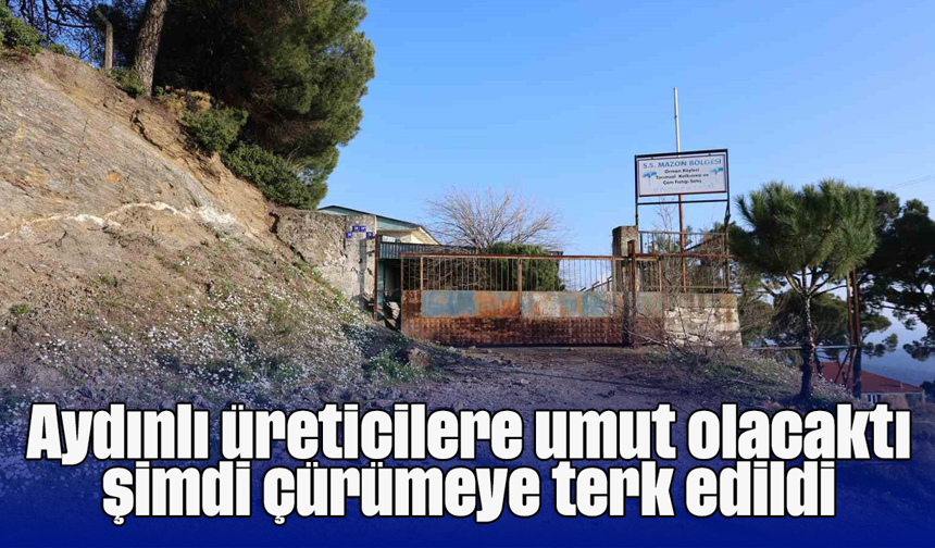 Aydınlı üreticilere umut olacaktı, şimdi çürümeye terk edildi