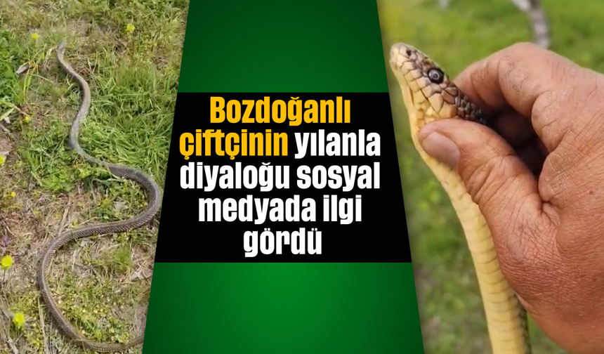 Bozdoğanlı çiftçinin yılanla diyaloğu sosyal medyada ilgi gördü