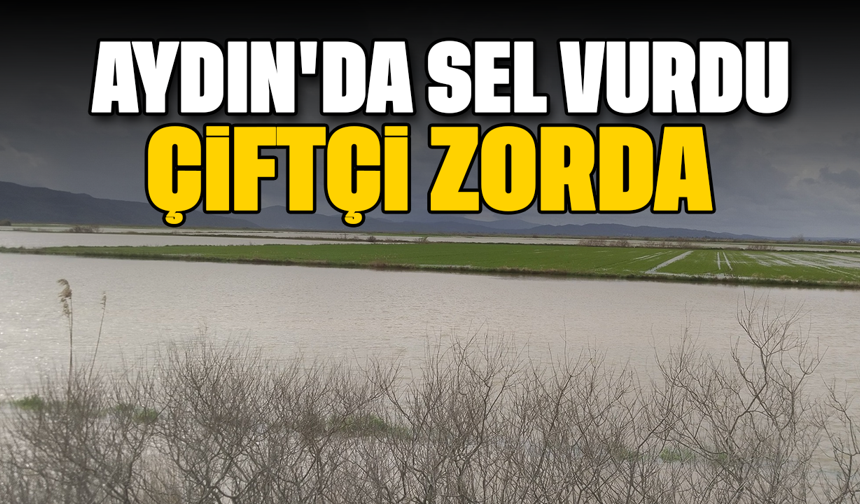 Aydın'da sel vurdu, çiftçi zorda