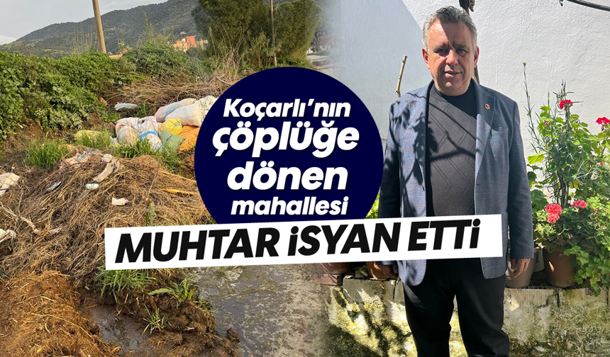 Koçarlı'nın çöplüğe dönen mahallesi: Muhtar isyan etti