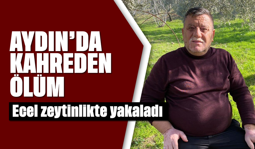 Aydın'da kahreden ölüm: Ecel zeytinlikte yakaladı