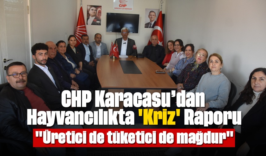 CHP Karacasu’dan Hayvancılıkta 'Kriz' Raporu: "Üretici de tüketici de mağdur"