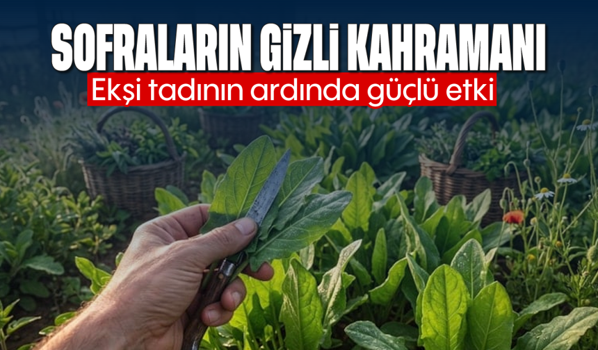 Sofraların gizli kahramanı: Ekşi tadının ardında güçlü etki