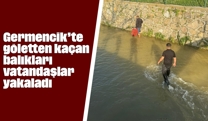 Germencik’te göletten kaçan balıkları vatandaşlar yakaladı